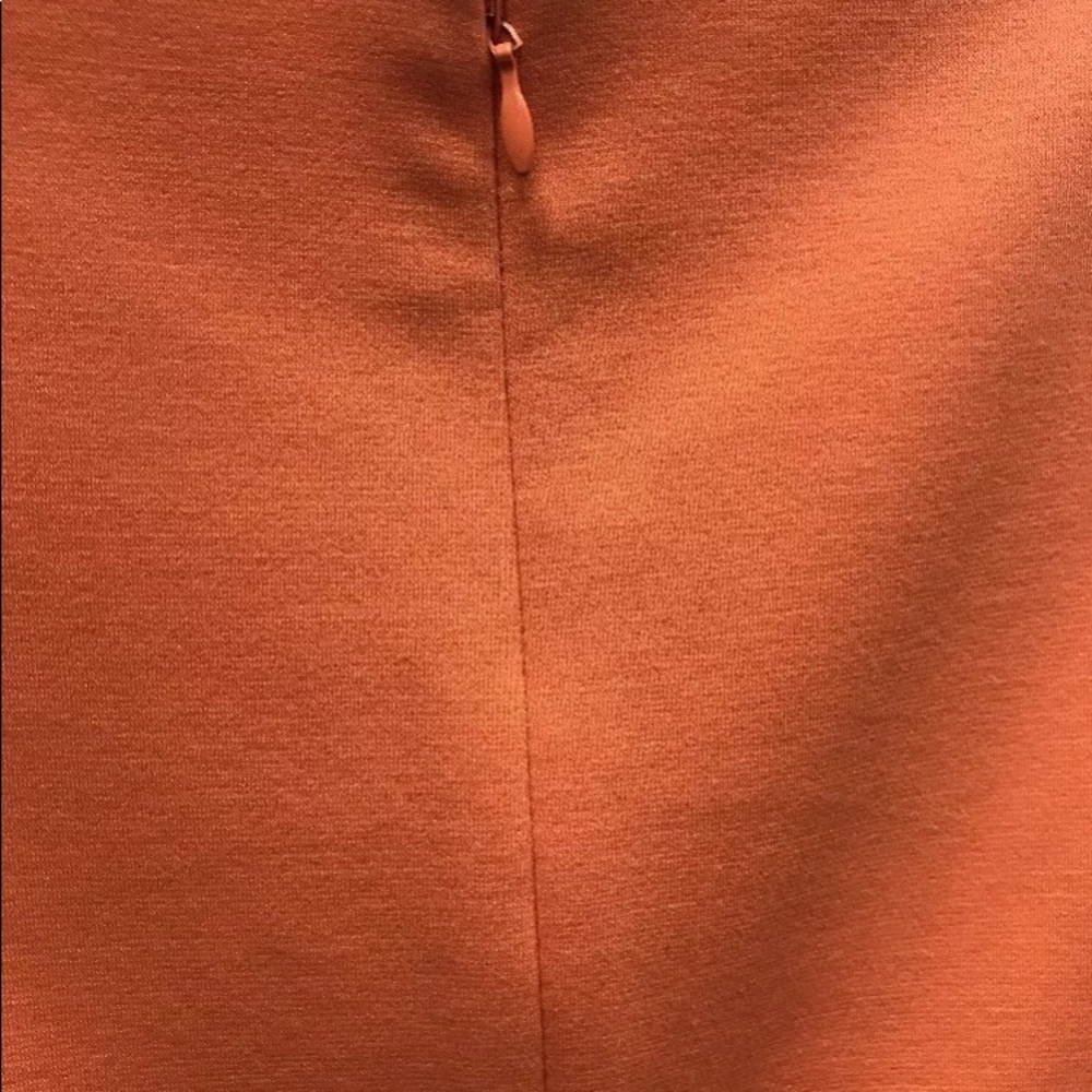 Ellen Tracy women mango color short sleeve - Picture 6 of 8